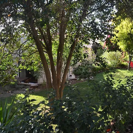 Garden In The Silves