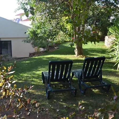 Garden In The Silves